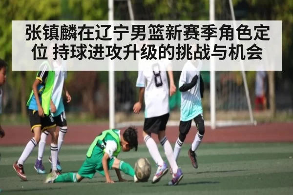 张镇麟在辽宁男篮新赛季角色定位 持球进攻升级的挑战与机会 | kaiyun